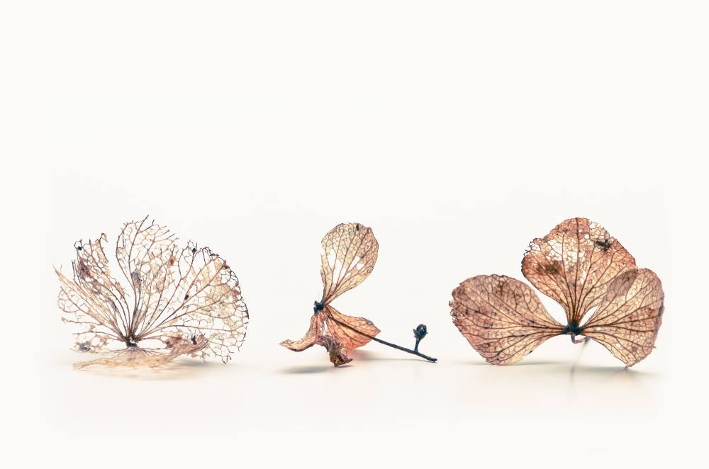 Dehydration in Seniors Preventing this Surprising Cause of Incontinence