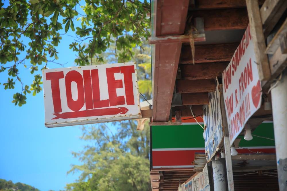 toilet-access